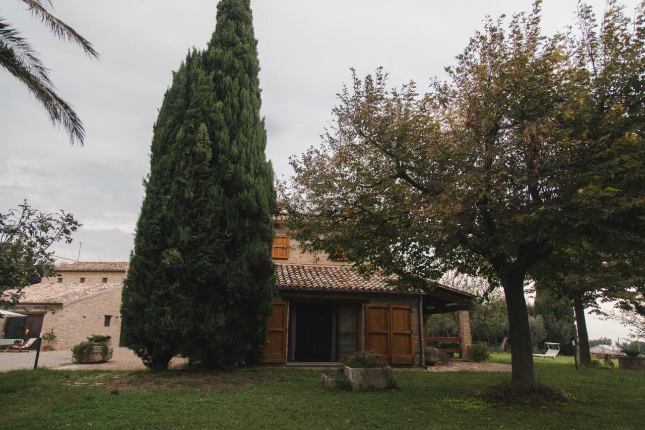 B&B Migliarino Civitanova Marche Zewnętrze zdjęcie
